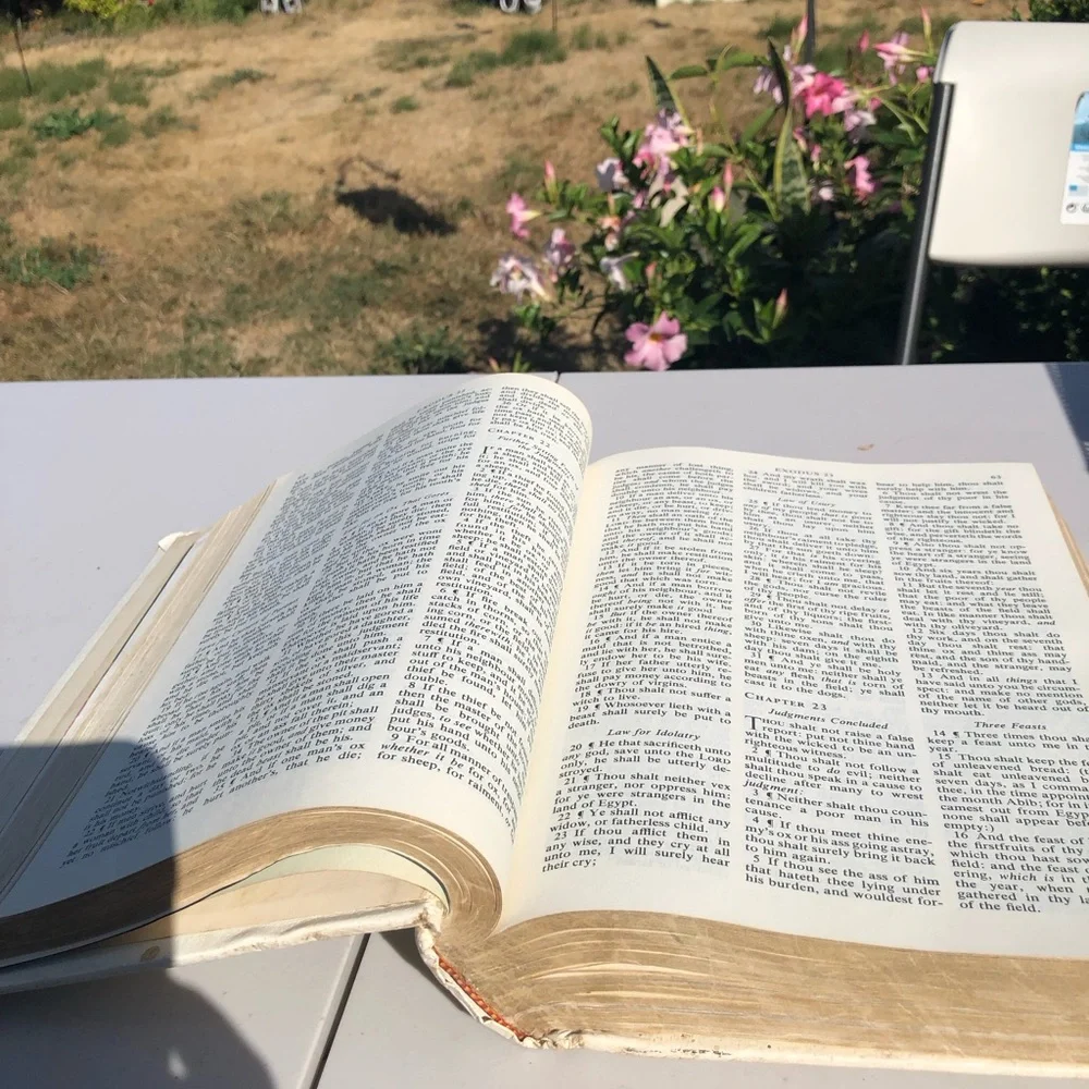 Classic White Holy Bible - White sling James Version CSS Edition 2976